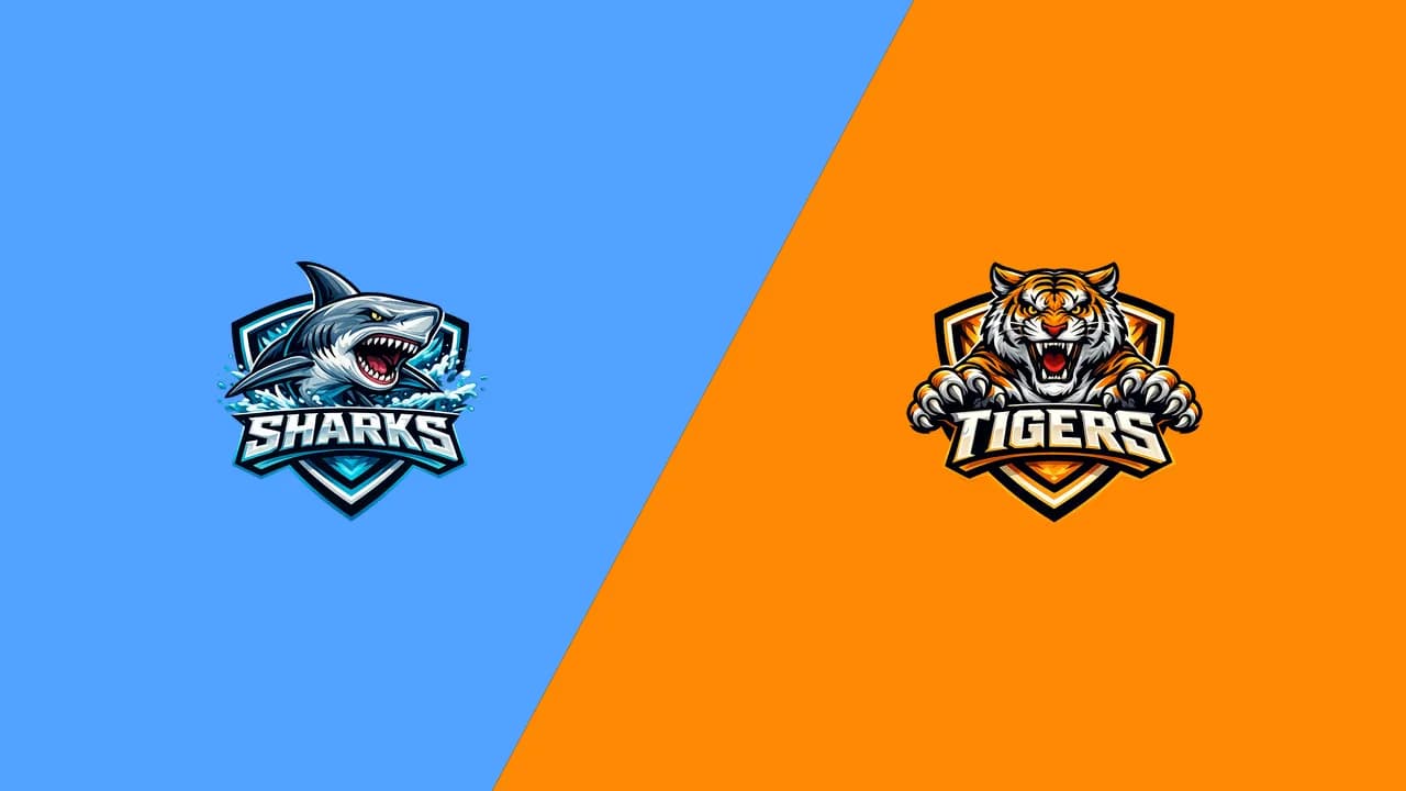 Sharks vs Tigers