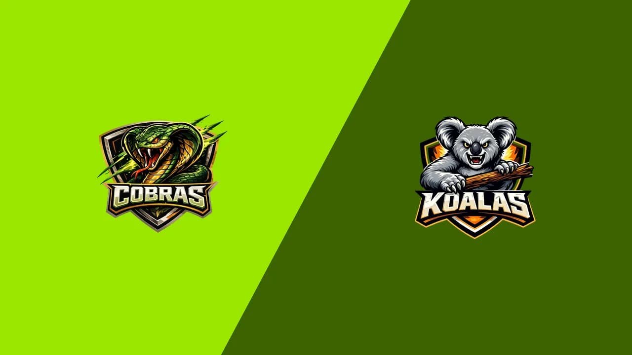 Cobras vs Koalas