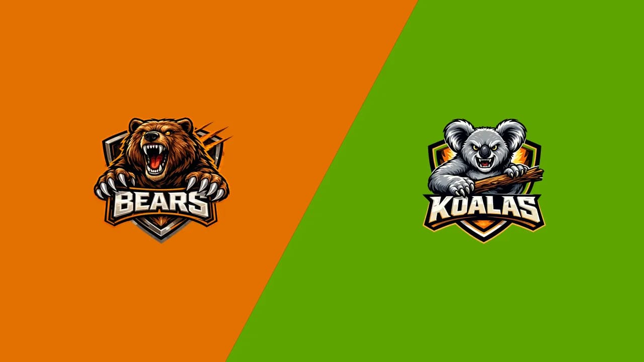 Bears vs Koalas