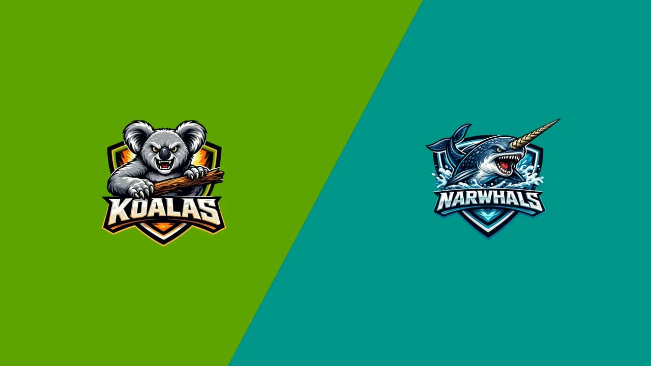 Koalas vs Narwhals